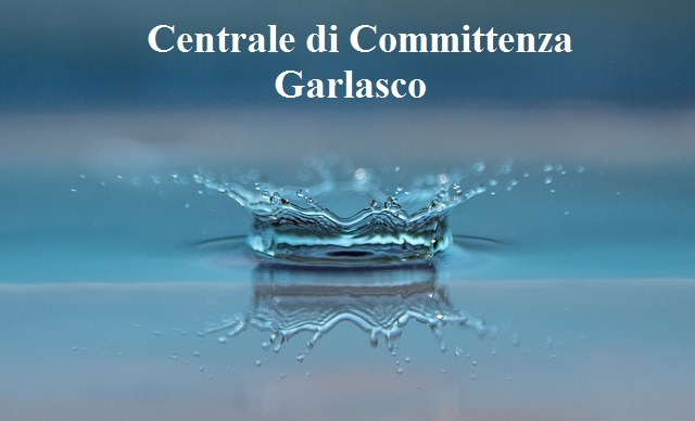 Procedura aperta per affidamento in concessione gestione CDD Il Melograno per il Comune di Sannazzaro de' Burgondi - CIG  A04143BABB