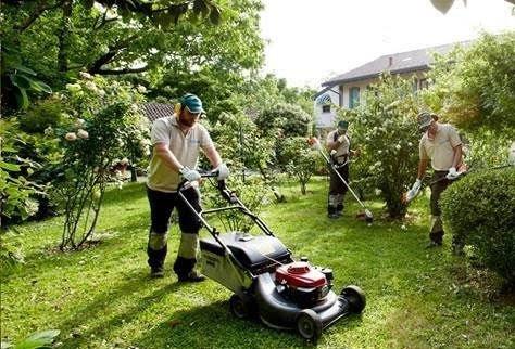 Nuova modalità di raccolta verde e ramaglie